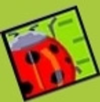 Lady Bug Beads coupons